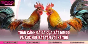 Đá Gà Cựa Sắt
